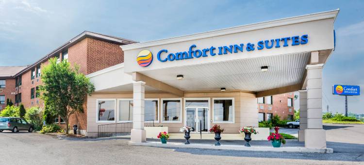 舒适套房酒店(Comfort Inn & Suites)图片