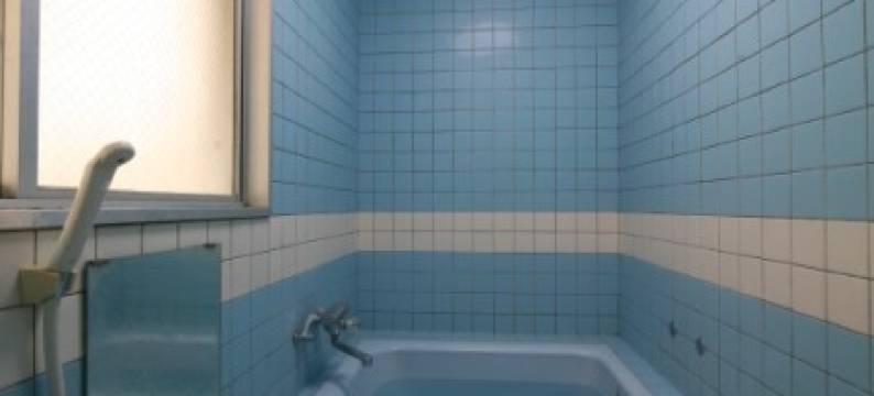 南海庄商务旅馆((Ryokan) Nankaiso)图片