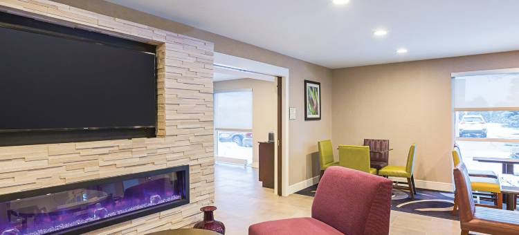 底特律乌蒂卡拉昆塔温德姆套房酒店(La Quinta Inn & Suites by Wyndham Detroit Utica)图片