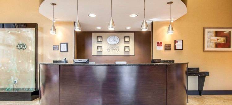 舒适套房酒店(Comfort Suites)图片