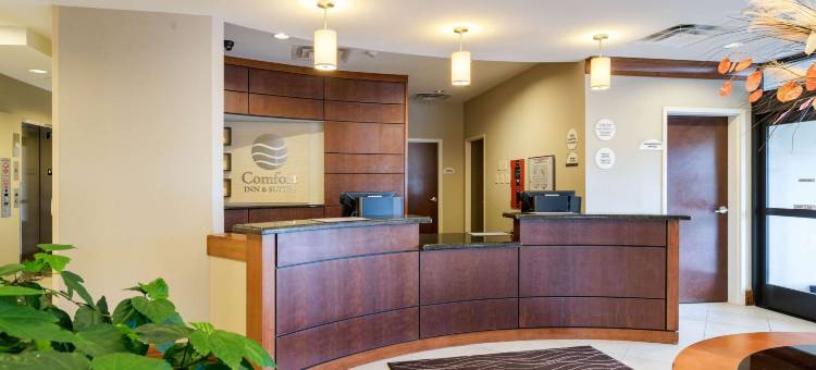 舒适套房酒店(Comfort Inn & Suites)图片