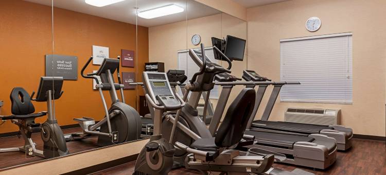 萨尔弗 - 查尔斯湖舒适套房酒店(Comfort Suites Sulphur-Lake Charles)图片