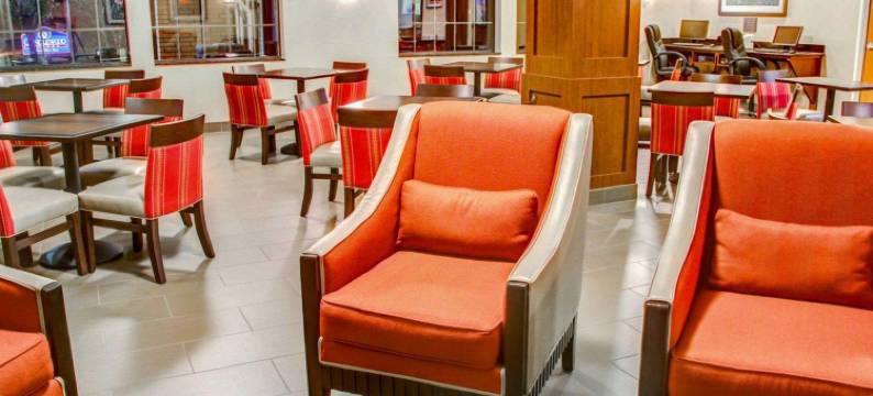 舒适套房酒店-泰勒南(Comfort Suites Tyler South)图片