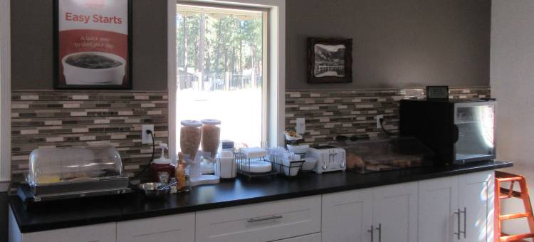 天堂村区伊克诺套房酒店(Econo Lodge Inn & Suites Heavenly Village Area)图片