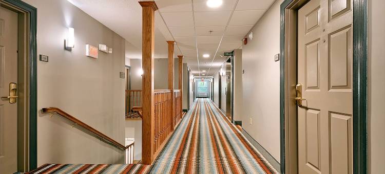 北查尔斯顿部拉迪森乡村酒店套房(Country Inn & Suites by Radisson, Charleston North, SC)图片