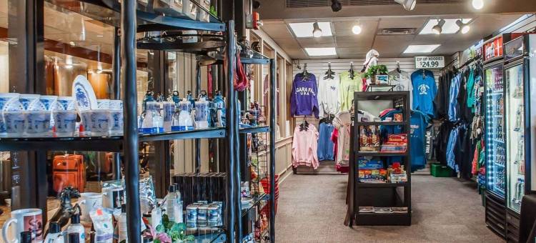 瀑布品质酒店及套房(Quality Hotel & Suites at the Falls)图片