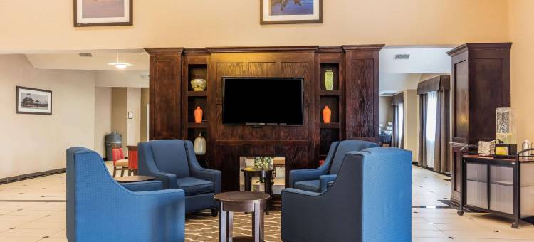 克里斯托运动中心舒适套房酒店(Comfort Inn & Suites Crystal Inn Sportsplex)图片