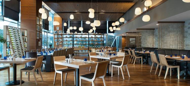伊斯坦布尔希什利万豪酒店(Istanbul Marriott Hotel Sisli)图片