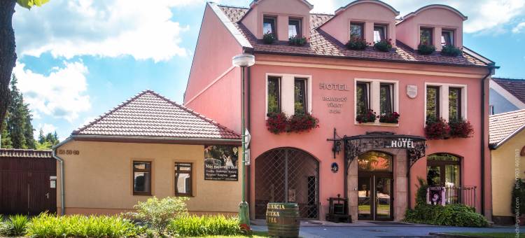 波切尼斯温尼大教堂酒店(Hotel Bojnický vínny Dom)图片