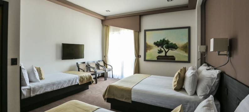 禅意奢华及水疗(Garni Hotel Zen)图片