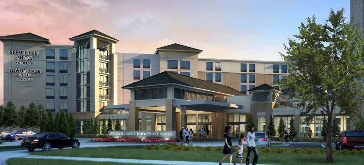 奥兰多主题乐园/布纳维斯塔湖万豪TownePlace Suites酒店(TownePlace Suites Orlando Theme Parks/Lake Buena Vista)图片