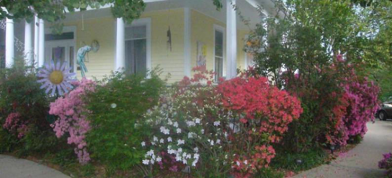 盛开花园住宿加早餐旅馆(Blooming Garden Inn)图片