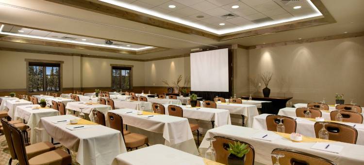 滑雪山岩石度假村(One Ski Hill, A RockResort)图片