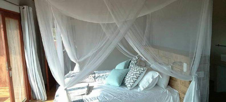 莫桑比克西亚桑特庄园酒店(Sia Sente Estate Mozambique)图片