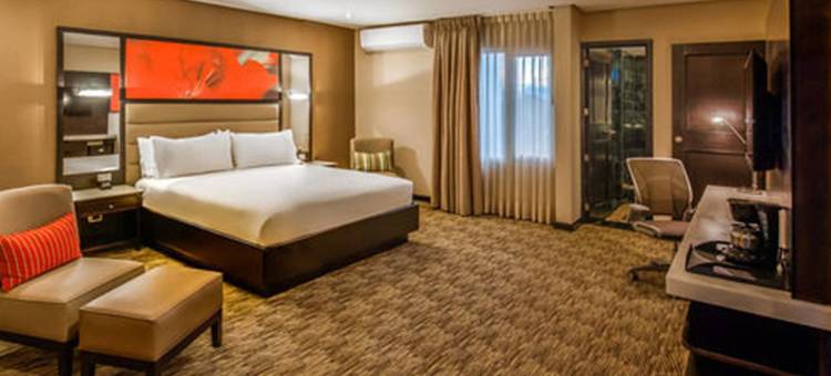 危地马拉市希尔顿花园酒店(Hilton Garden Inn Guatemala City)图片