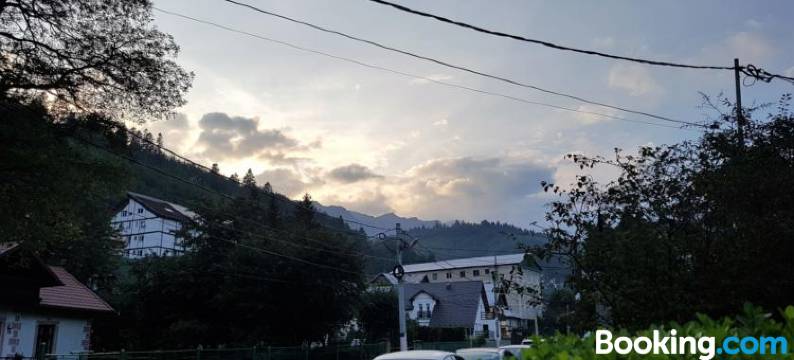 布尼西勒希奈亚度假屋(Casa Bunicilor Sinaia)图片