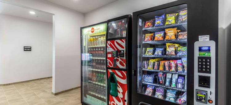 内华达拉斯维加斯赛车场(Las Vegas, NV - Motor Speedway)图片