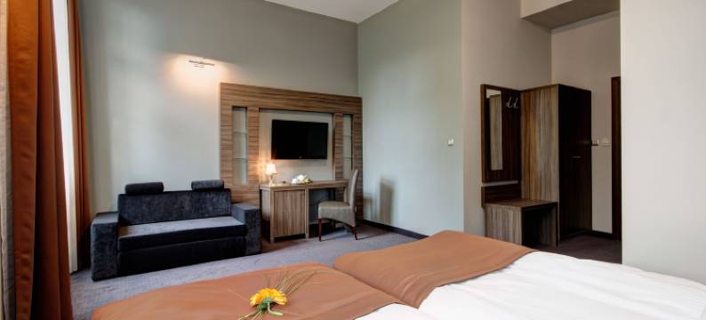 布泽吉纳宫酒店(Palac Brzezina)图片