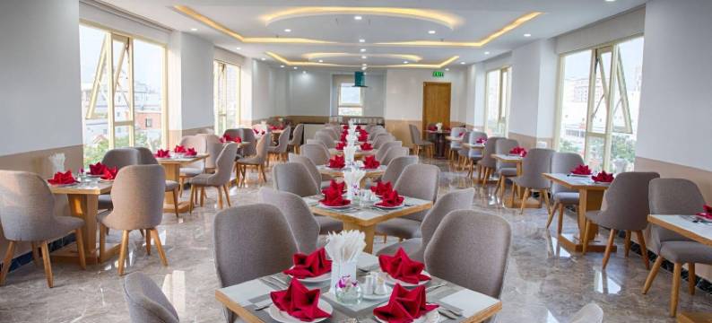 菲维特国王酒店(ANFADA Hotel Danang)图片