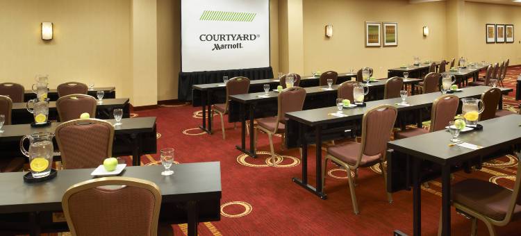 芝加哥市中心/河北万怡酒店(Courtyard Chicago Downtown/River North)图片