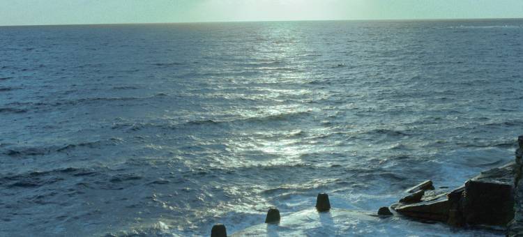 悉尼Coogee海滩洲际酒店(InterContinental Sydney Coogee Beach)图片