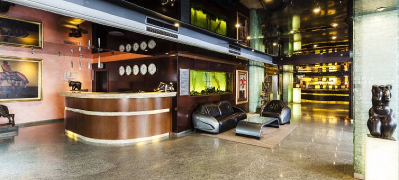 阿奈尔酒店(Hotel Anel)图片