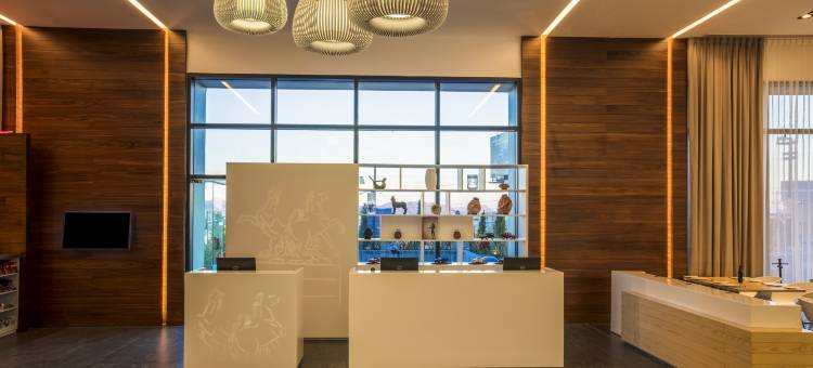 奇瓦瓦时尚购物中心派对酒店(Fiesta Inn Chihuahua Fashion Mall)图片