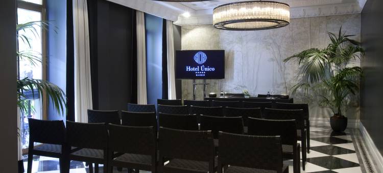 独特的马德里酒店(Hotel Único Madrid, Small Luxury Hotels)图片