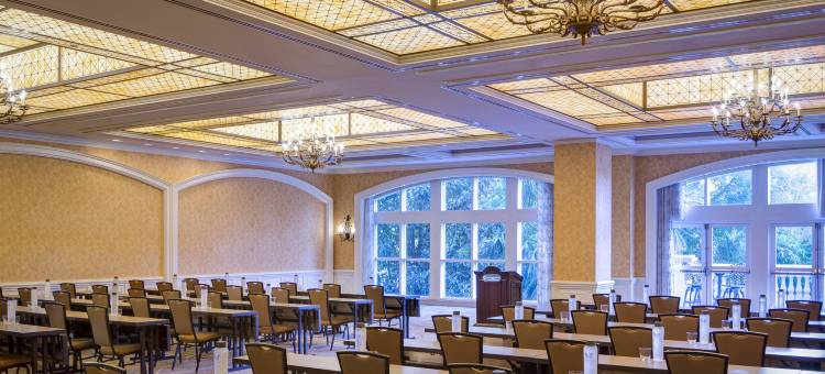 盖洛德棕榈水疗度假酒店(Gaylord Palms Resort & Convention Center)图片
