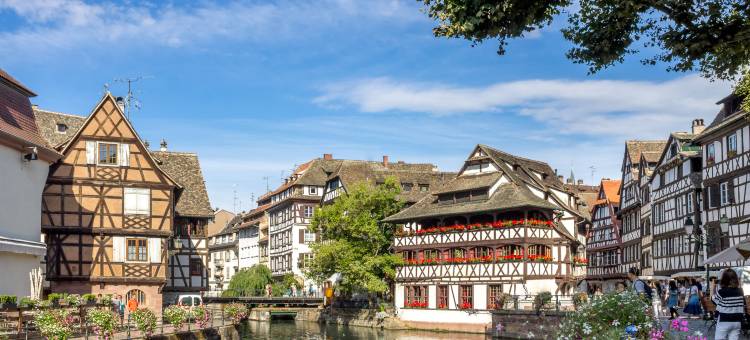 Holiday Inn Express 斯特拉斯堡 - 南基(Holiday Inn Express Strasbourg - Sud)图片