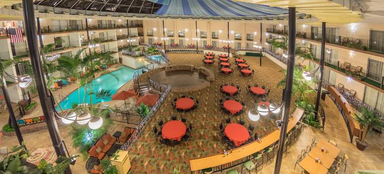 洲际酒店集团假日酒店德梅因机场/会议中心(Holiday Inn des Moines-Airport/Conf Center)图片