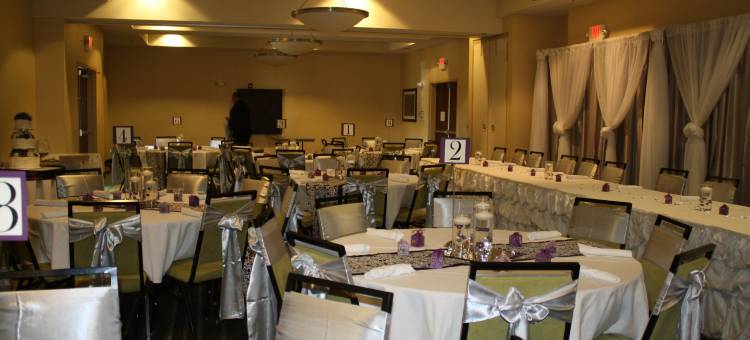 Holiday Inn 圣路易斯 - 锦绣花园(Holiday Inn ST. Louis-Fairview Heights)图片