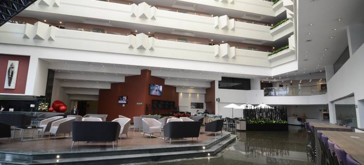 Holiday Inn 墨西哥城大理机场(Holiday Inn Mexico Dali Airport)图片