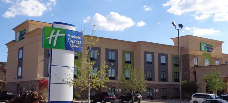智选假日套房酒店拉伯克南(Holiday Inn Express & Suites Lubbock South)图片