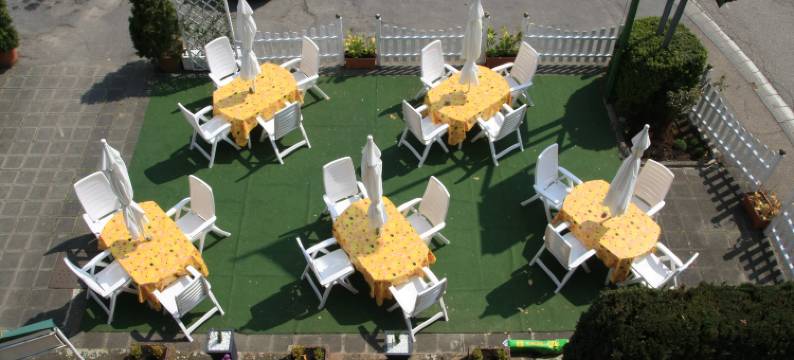 加斯特霍夫促特劳伯酒店(Gasthof Zur Traube)图片