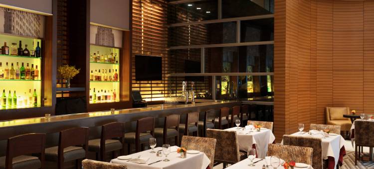 纽约翠贝卡喜来登酒店(Sheraton Tribeca New York Hotel)图片