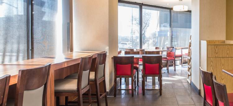 蒙特利尔华美达广场酒店(Ramada Plaza by Wyndham Montreal)图片