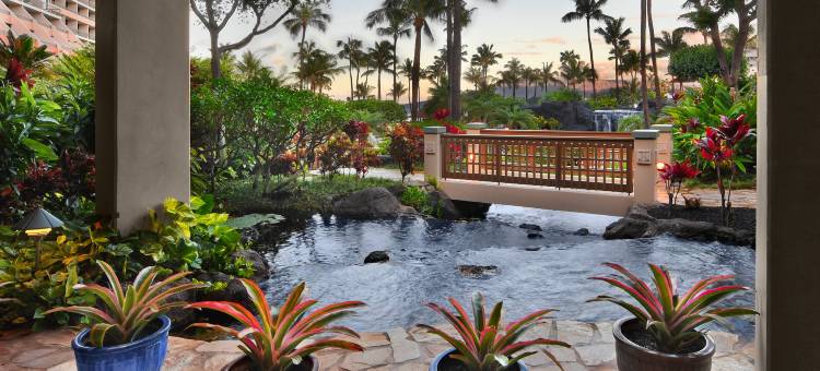 毛伊岛海洋俱乐部万豪酒店 - 拉海纳&纳皮里塔(Marriott's Maui Ocean Club  - Lahaina & Napili Towers)图片