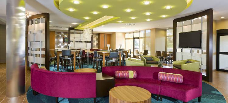 费城兰霍恩万豪SpringHill Suites 酒店(SpringHill Suites Philadelphia Langhorne)图片
