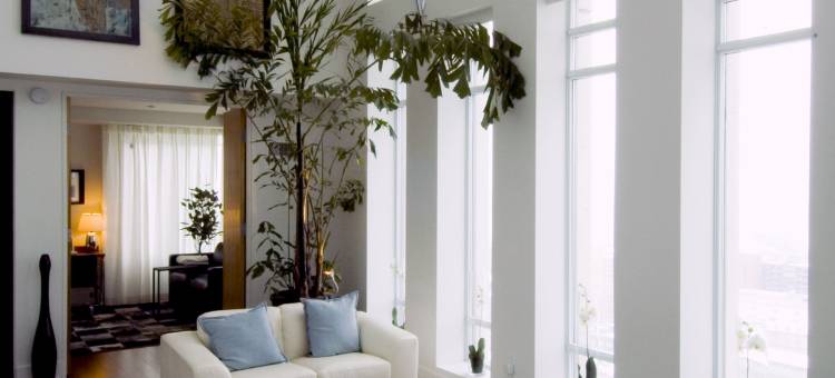 多伦多大都市行政酒店(Executive Hotel Cosmopolitan)图片