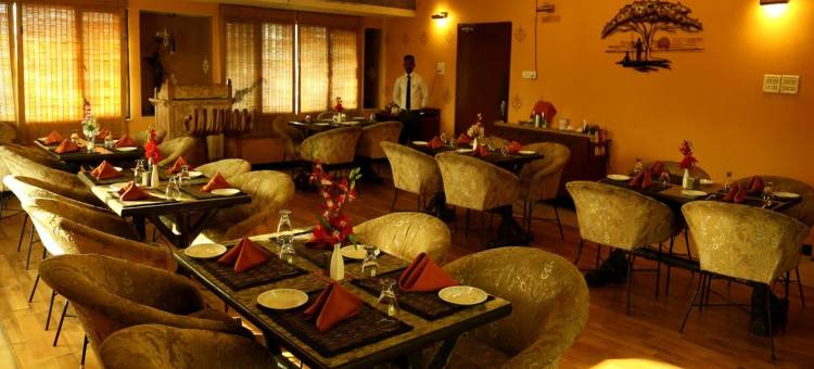 安斯国际酒店(Hotel Ans International, Raigarh,)图片