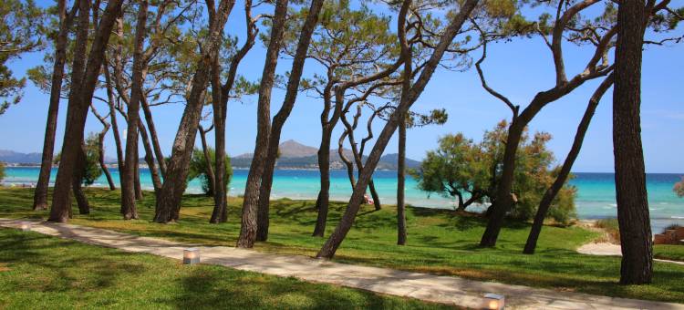 穆罗海滩伊贝罗斯塔海浪酒店(Iberostar Waves Playa de Muro)图片