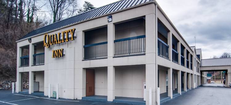 坦格伍德凯艺酒店(Quality Inn Tanglewood)图片