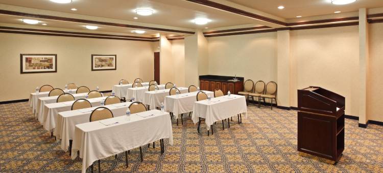 智选假日套房酒店谢尔曼HWY 75(Holiday Inn Express & Suites Sherman Hwy 75)图片