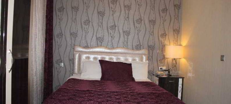 安卡拉瑞斯酒店(Ankara Risiss Hotel)图片