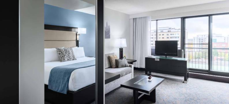 渥太华使馆酒店及套房(Ottawa Embassy Hotel & Suites)图片