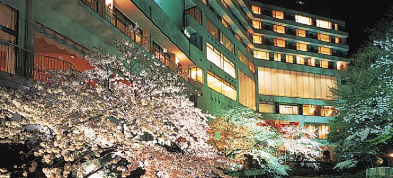 月光园鸿胧馆(Arima Onsen Gekkoen Korokan)图片