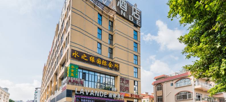 麗枫酒店(佛山顺德顺联广场锦龙地铁站店)图片