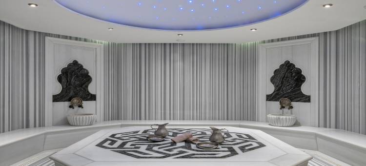 伊斯坦布尔-阿塔瑟希尔喜来登大酒店(Sheraton Grand Istanbul Atasehir)图片