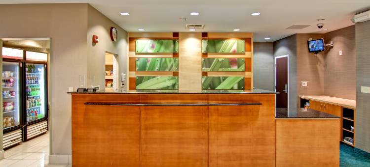 弗雷斯诺万豪SpringHill酒店(SpringHill Suites Fresno)图片